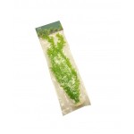 ΔΙΑΚΟΣΜΗΤΙΚΟ ΦΥΤΟ ΕΝΥΔΡΕΙΟΥ ΔΙΑΦΟΡΑ ΣΧΕΔΙΑ